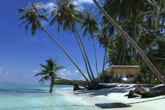 Capodanno alle Maldive - Guest house OCEAN Capodanno alle Maldive - Guest house OCEAN